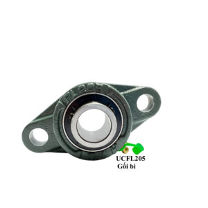Gối bi UCFL205