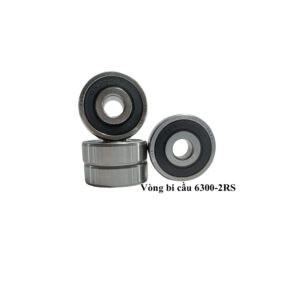 Vòng bi cầu 6300-2RS