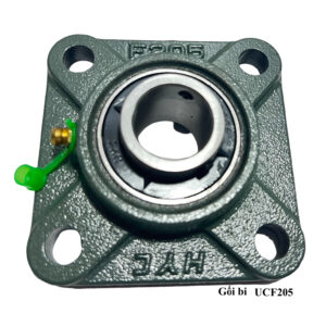 Gối bi UCF205